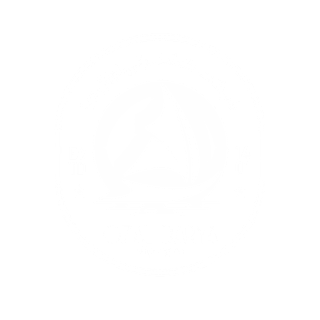 Ozal Darya Shipping Agency